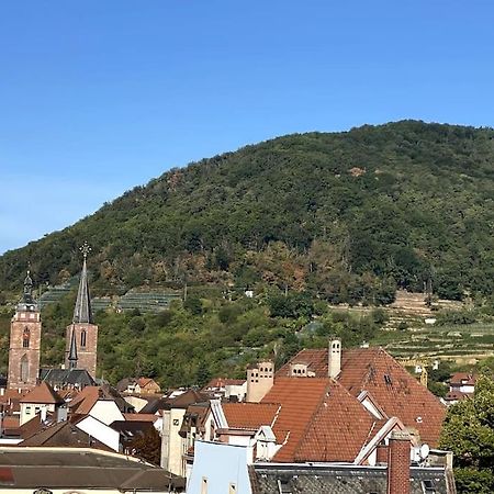 Modernes City-Appartement Neustadt an der Weinstraße Kültér fotó